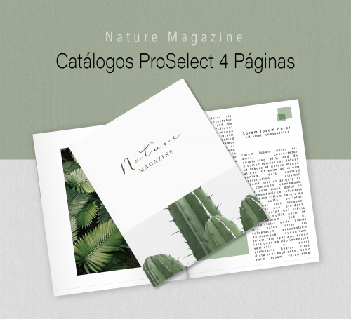 即納！最大半額！ - Online Gráfica KWG Catálogo Páginas 4 ミュージシャン